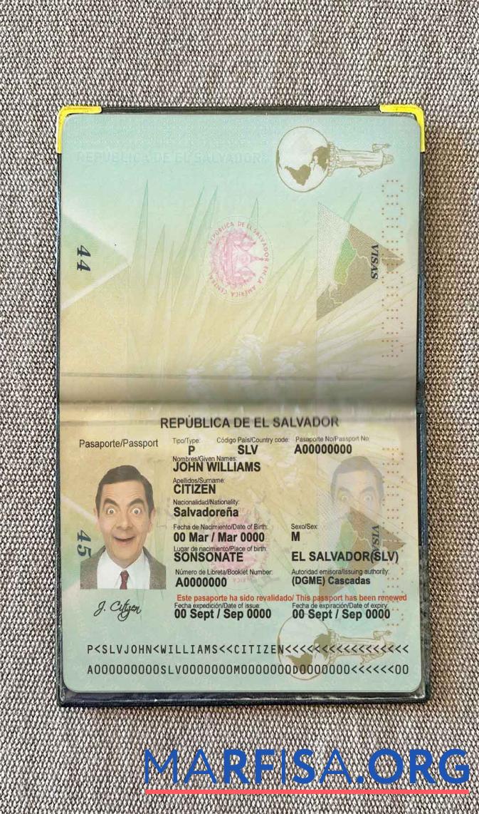 Realistic Salvador passport photo look sample